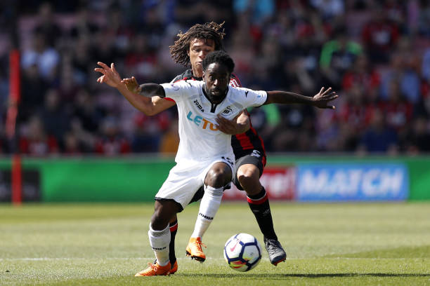 他的粉丝基 他的粉丝基