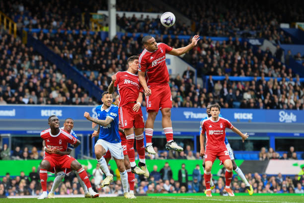 安切洛蒂果 安切洛蒂果